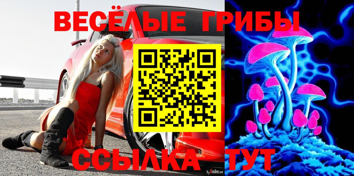 Ялуторовск  Псилоцибиновые грибы Psilocybe  купить  сайты  Вход с VPN 